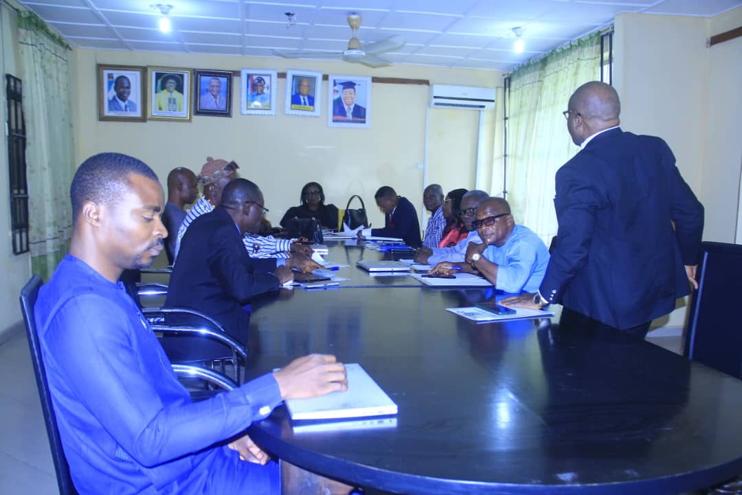 A cross-section of Council members during deliberations